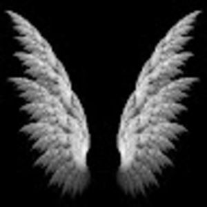 Meet your Posher, Angel